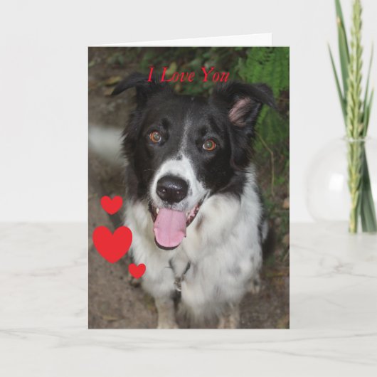 Carte Saint Valentin du chien (Devant)