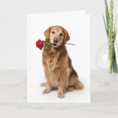 Carte Saint-Valentin Golden Retriever (Devant)