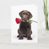 Carte Saint-Valentin Lab chocolat (Devant)