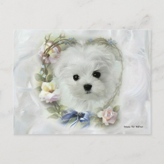 Carte Saint Valentin maltaise Hermes (Devant)