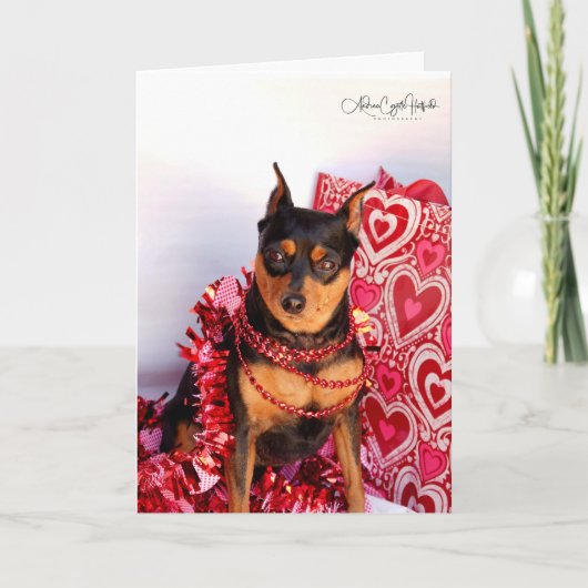 Carte Saint-Valentin MinPin (Devant)