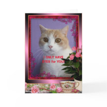 Saint-Valentin Personnalisable pour Chat Drôle