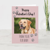 Carte Saint-Valentin Photo Chien Chat Animal de Compagni (Devant)