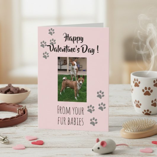 Carte Saint-Valentin Photo Chien Chat Animal de compagni