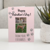 Carte Saint-Valentin Photo Chien Chat Animal de compagni