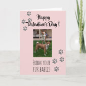 Carte Saint-Valentin Photo Chien Chat Animal Famille Béb (Devant)