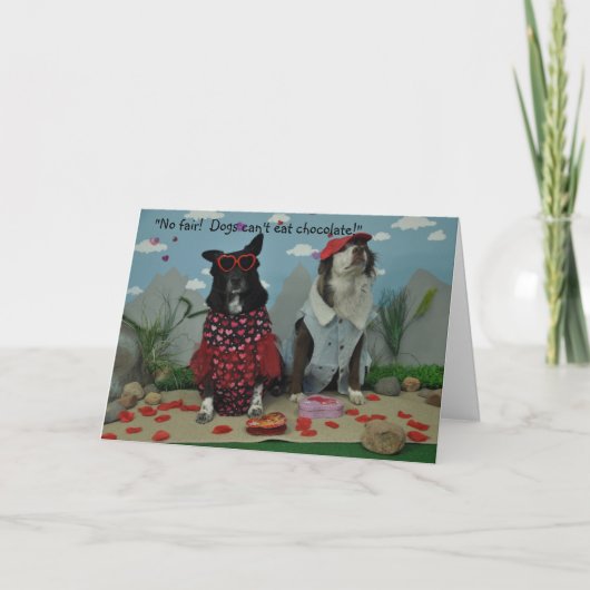 Carte Saint-Valentin pour n'importe qui, chiens en tenue (Devant)