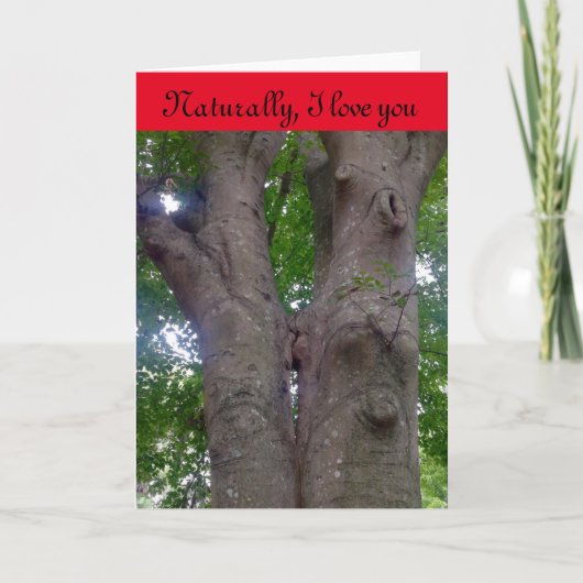 Carte Saint Valentin pour tous les amoureux de la  (Devant)