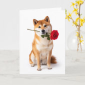 Carte Saint-Valentin Shiba Inu – Dévouement silencieux (Fleur jaune)