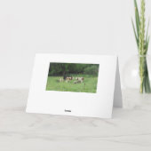 Carte Sainte Vache C'est Ton Anniversaire (Dos)