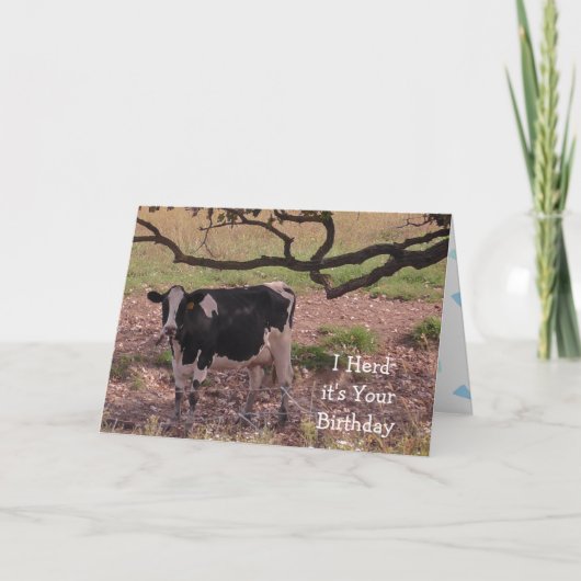 Carte Sainte vache, tu deviens vieux, Anniversaire (Devant)