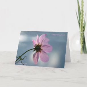 Carte Saisis le moment !