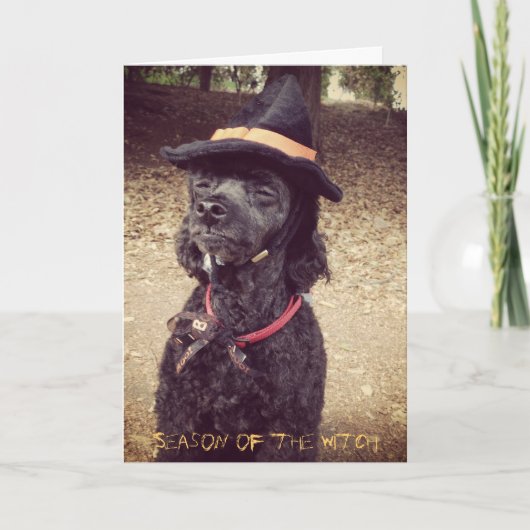 Carte Saison de la sorcière (Devant)