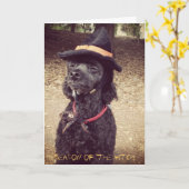 Carte Saison de la sorcière (Fleur jaune)