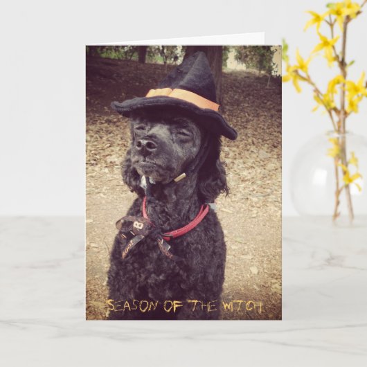 Carte Saison de la sorcière (Fleur jaune)