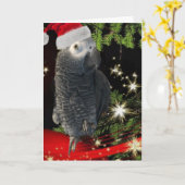 Carte Saison de vacances pour les perroquets gris d'Afri (Fleur jaune)