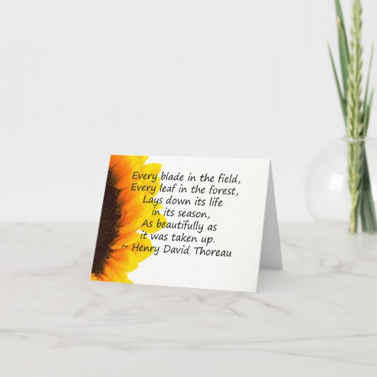 Carte Saisons de la vie (Devant)