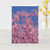 Carte Sakura Cherry Fleurit Dans Le Bleu (Fleur jaune)