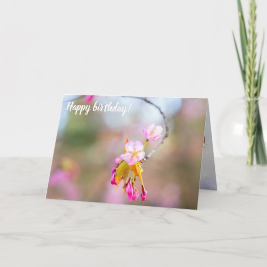 Carte Sakura Fleurit Sur Un Pourboire De La Brindille. H (Devant)