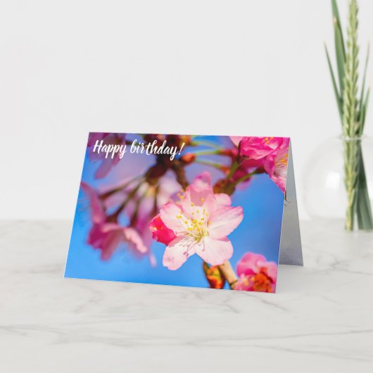 Carte Sakura Rose Vibrant Fleurit Et Ciel Bleu Clair (Devant)