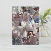Carte Sakura Tree en fleurs de cerisier vierge (Debout devant)