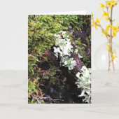 Carte Salamander Caché Sous Le Journal, Washington (Fleur jaune)