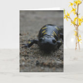 Carte Salamandre repérée (Fleur jaune)