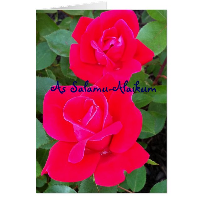 Carte Salamu-Alaikum (Devant)