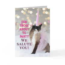 Salon d'anniversaire de chats mignons