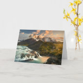 Carte Salto grand (Fleur jaune)