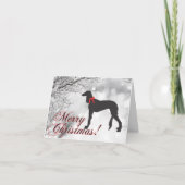 Carte Saluki Joyeux Noël (Devant)