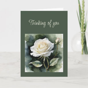 Carte Salut Bonjour Penser de vous Rose Blanche verdure
