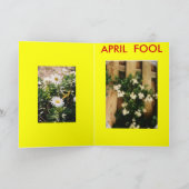 CARTE SALUT DU CÔTÉ SOMBRE (Intérieur)