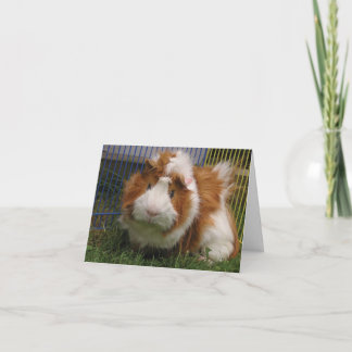 Carte Salut là ! (Farceur)