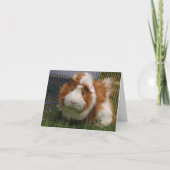 Carte Salut là ! (Farceur) (Devant)