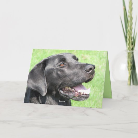 Carte Salutation (Dos)