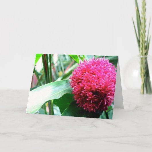 Carte Salutation (Devant)