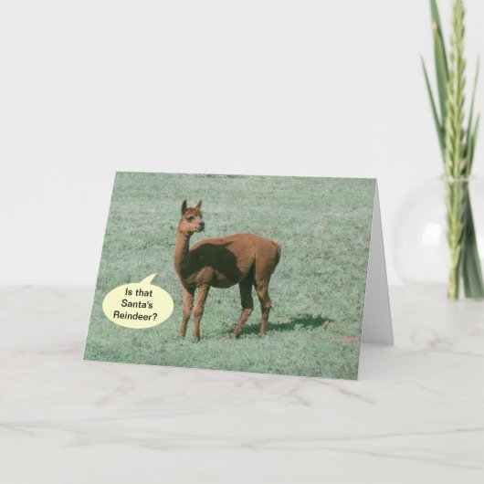 Carte - Salutation - Alpaca salutations (Devant)