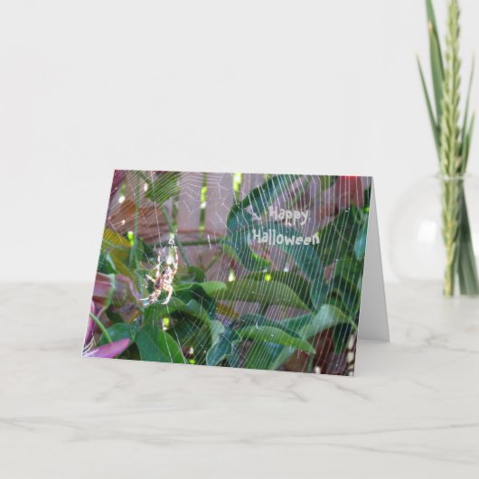 Carte - Salutation - Araignée sur toile (Devant)