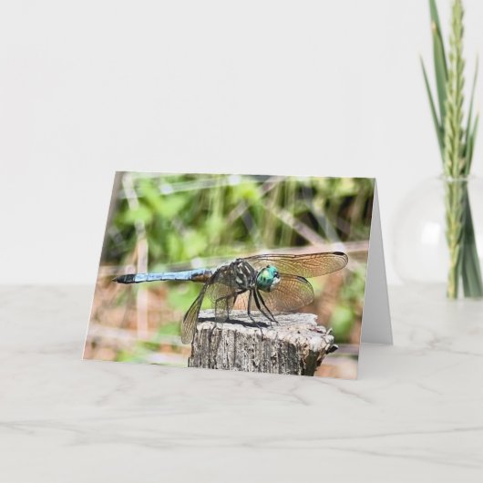 Carte Salutation aux libellules bleues (Devant)