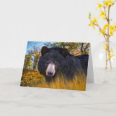 Carte Salutation "Baloo The Bear" (Fleur jaune)