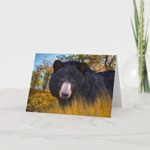 Carte Salutation "Baloo The Bear"
