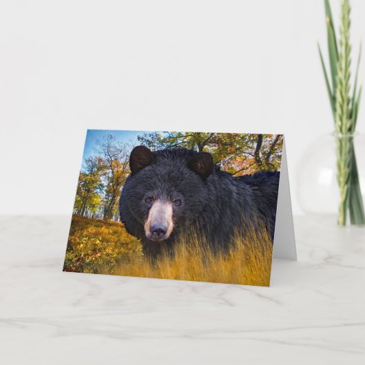 Carte Salutation "Baloo The Bear" (Devant)