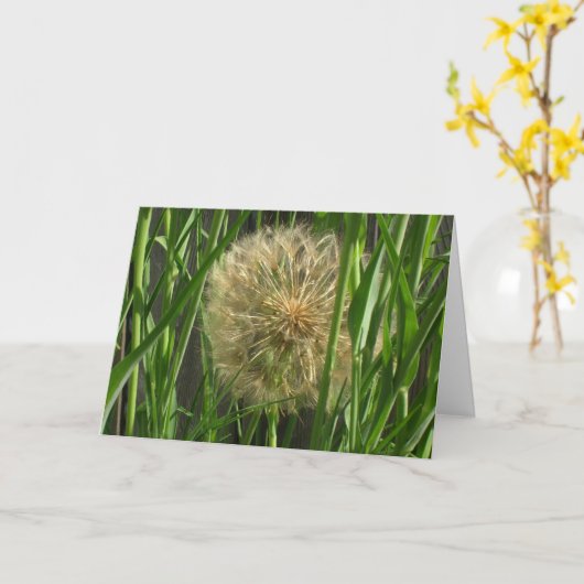 Carte - Salutation - Boule de Puff (Fleur jaune)