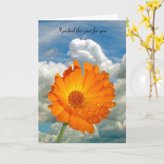 Carte - salutation - Calendula on Stem (Fleur jaune)