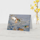 Carte Salutation-Carte d'art de faune de canard de (Fleur jaune)