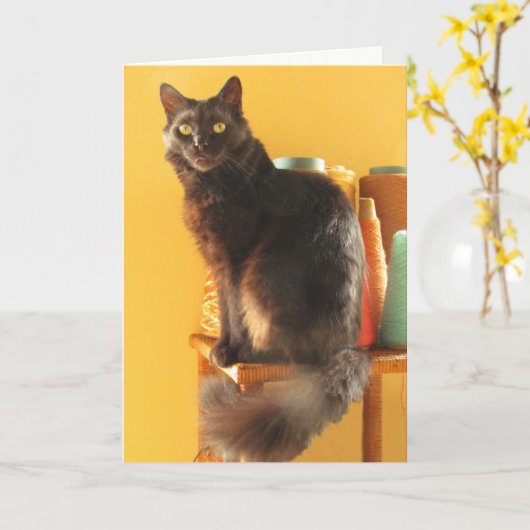 Carte - salutation - Chat avec fil (Fleur jaune)