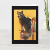 Carte - Salutation - Chat avec Fil (Devant)