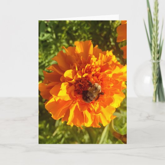 Carte Salutation d'abeilles et de fleurs (Devant)