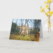 Carte Salutation de Jour du Souvenir pour des vétérans (Fleur jaune)